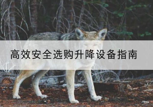 尖草坪升降货梯厂家推荐-*安全选购升降设备指南