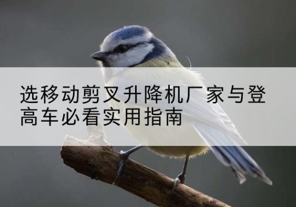 尖草坪电动升降机厂家-选移动剪叉升降机厂家与登高车必看实用指南